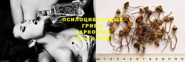 каннабис Новокубанск