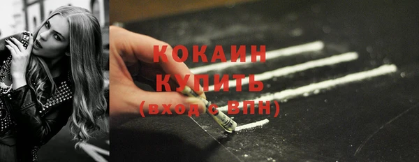 мдпв Новозыбков
