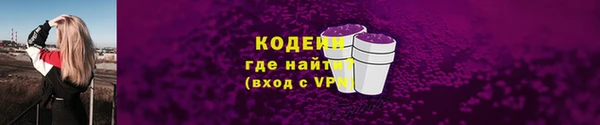 мдпв Новозыбков