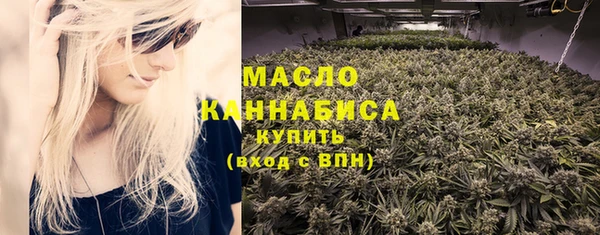 мдпв Новозыбков