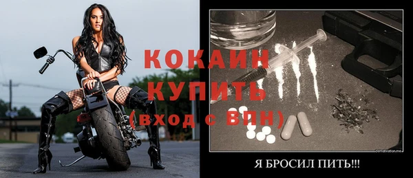 мдпв Новозыбков