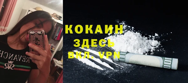 мдпв Новозыбков